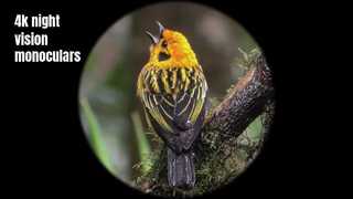 منظار رؤية ليلية عالي الجودة بدقة 4K