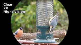 التقاط فيديو واضح 2K نظارات الرؤية الليلية