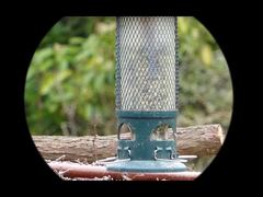 4K فيديو Mini91 للرؤية الليلية أحادي العين