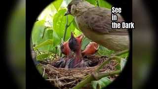 نظارات الرؤية الليلية هونديجي للمراقبة